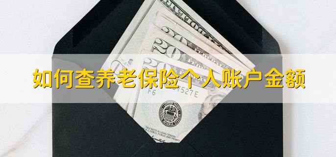 如何查养老保险个人账户金额