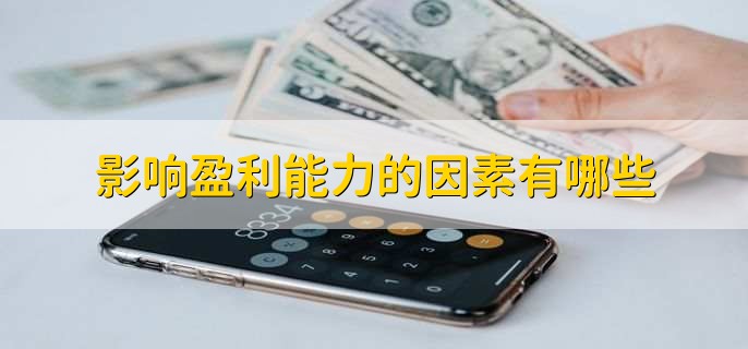 影响盈利能力的因素有哪些