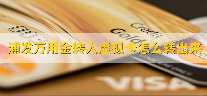 浦发万用金转入虚拟卡怎么转出来,有以下四点