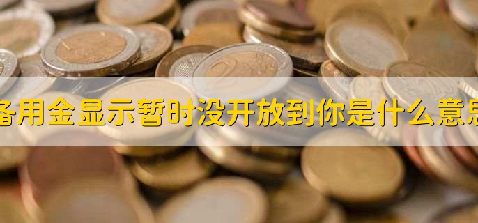 备用金显示暂时没开放到你是什么意思，不符合备用金的使用条件