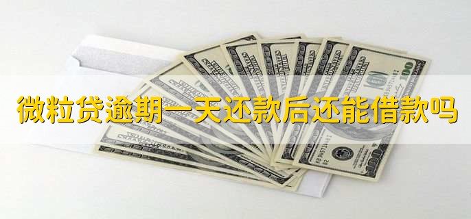 微粒贷逾期一天还款后还能借款吗，主要得看平台
