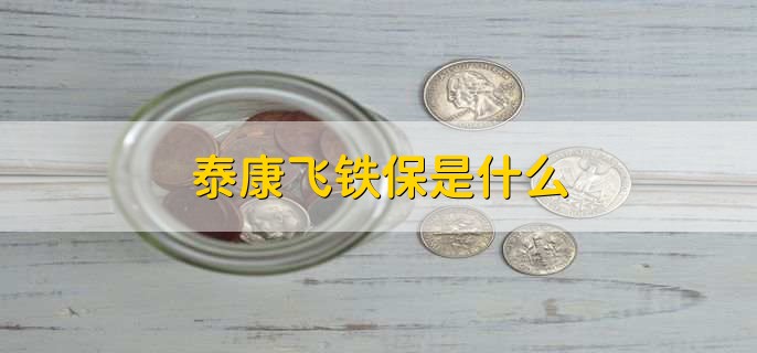泰康飞铁保是什么