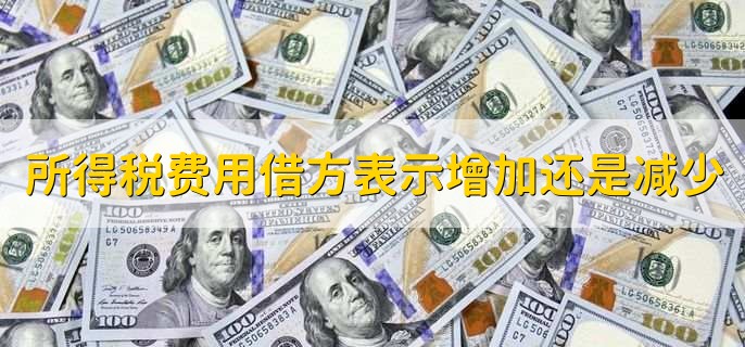 所得税费用借方表示增加还是减少