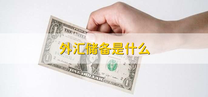 外汇储备是什么