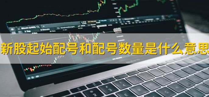 新股起始配号和配号数量是什么意思