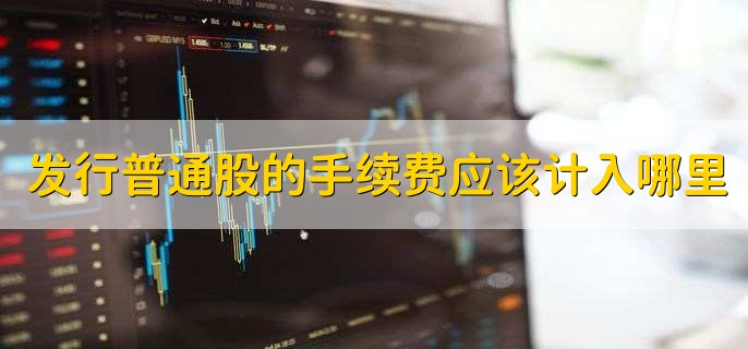 发行普通股的手续费应该计入哪里