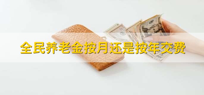 全民养老金按月还是按年交费