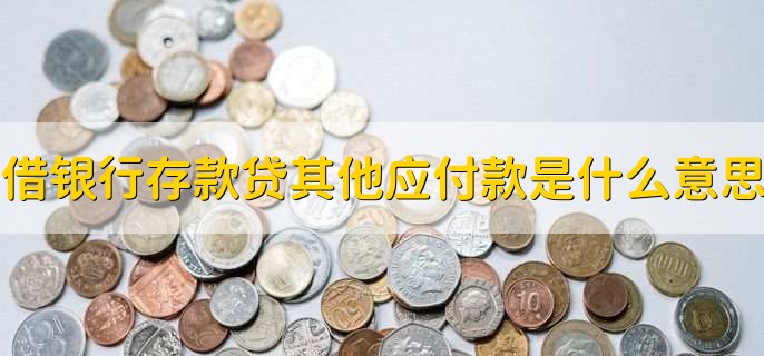 借银行存款贷其他应付款是什么意思