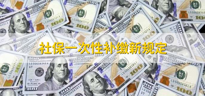社保一次性补缴新规定