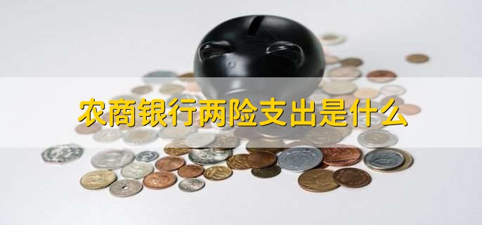 农商银行两险支出是什么