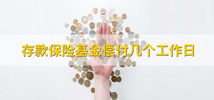 存款保险基金偿付几个工作日