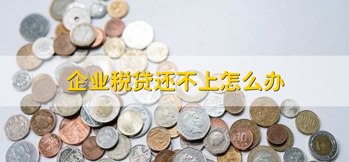 企业税贷还不上怎么办