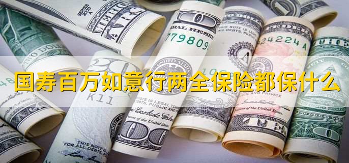 国寿百万如意行两全保险都保什么
