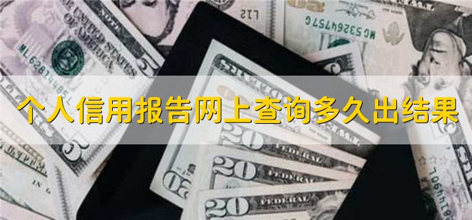 个人信用报告网上查询多久出结果