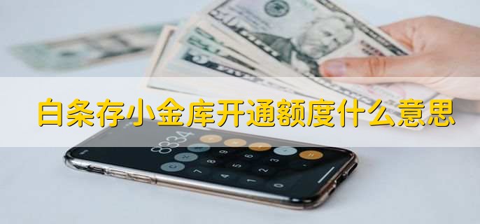 白条存小金库开通额度什么意思,开通白条为啥要存小金库