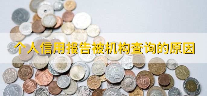 个人信用报告被机构查询的原因