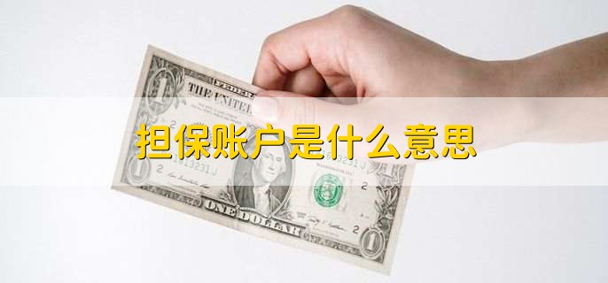担保账户是什么意思