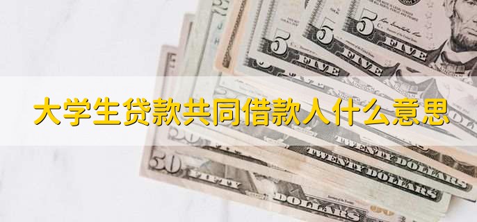 大学生贷款共同借款人什么意思