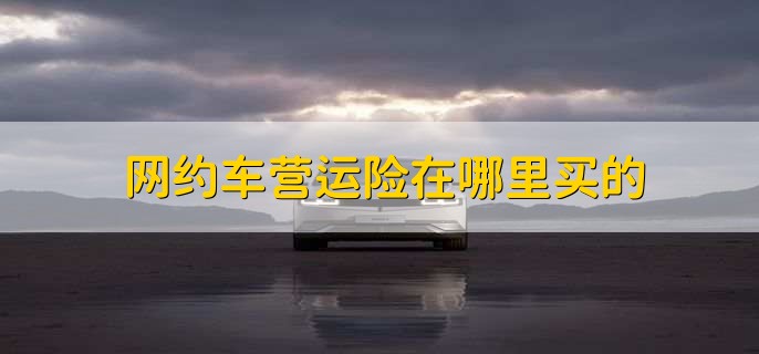 网约车营运险在哪里买的