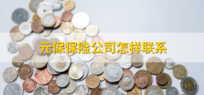 元保保险公司怎样联系