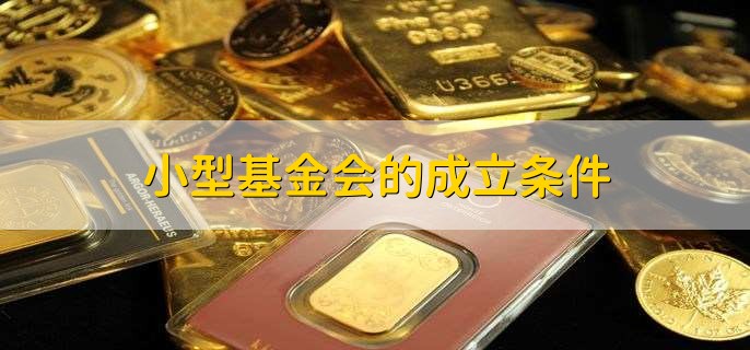 小型基金会的成立条件