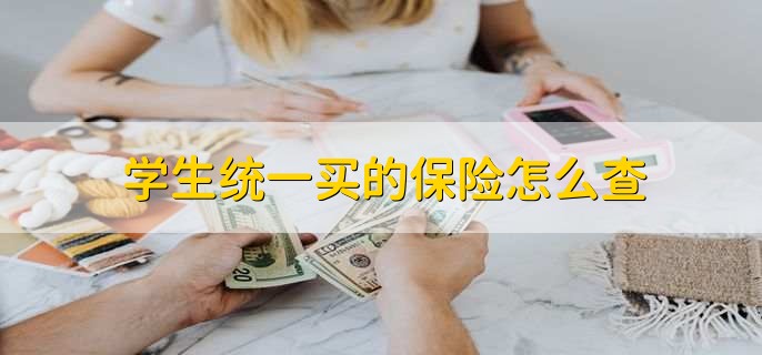 学生统一买的保险怎么查