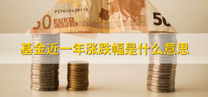 基金近一年涨跌幅是什么意思