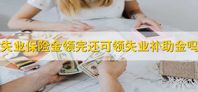 失业保险金领完了还可以领失业补助金吗