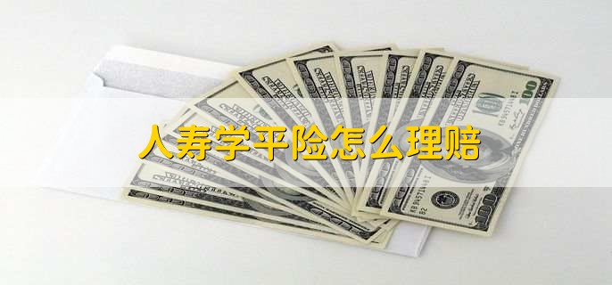 人寿学平险怎么理赔