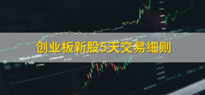 创业板新股5天交易细则