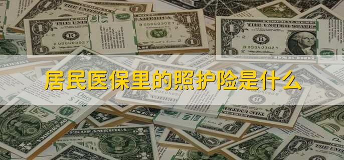 居民医保里的照护险是什么