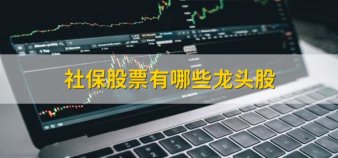 社保股票有哪些龙头股