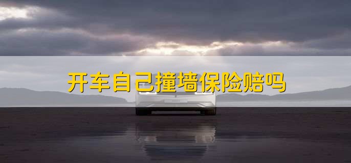 开车自己撞墙保险赔吗