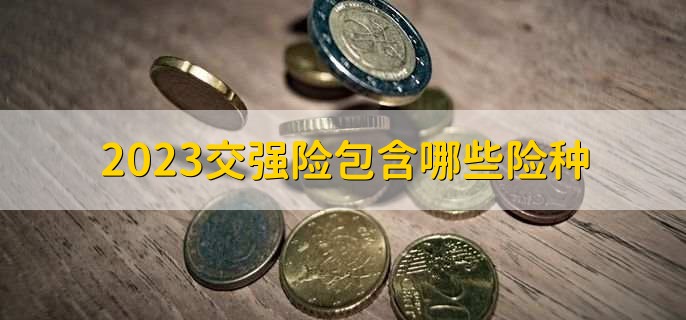 2023交强险包含哪些险种