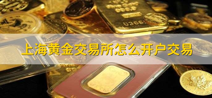 上海黄金交易所怎么开户交易