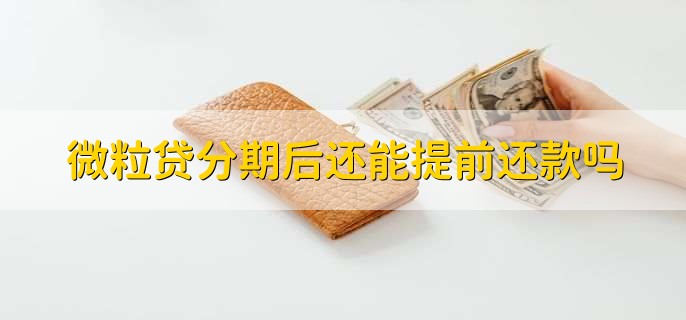 微粒贷分期后还能提前还款吗