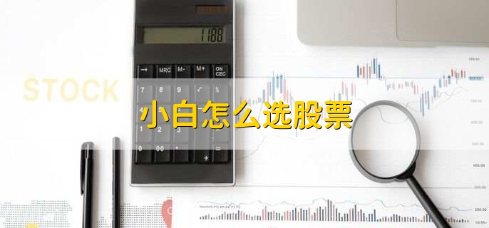 小白怎么选股票