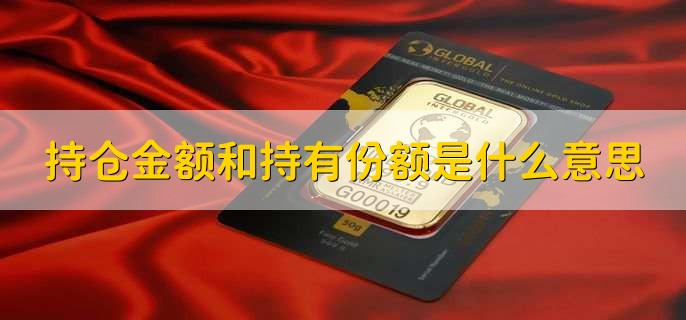 持仓金额和持有份额是什么意思