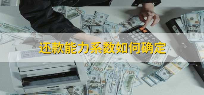 还款能力系数如何确定