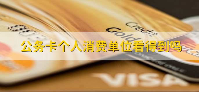 公务卡个人消费单位看得到吗