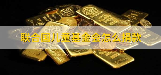 联合国儿童基金会怎么捐款