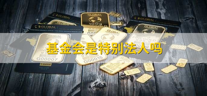 基金会是特别法人吗