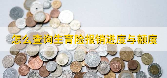 怎么查询生育险报销进度与额度