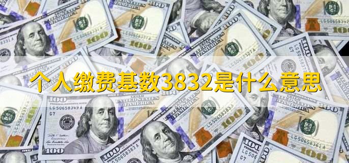 个人缴费基数3832是什么意思