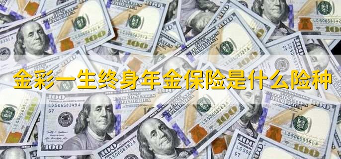 金彩一生终身年金保险是什么险种