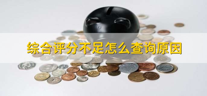 综合评分不足怎么查询原因