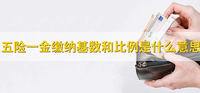 五险一金缴纳基数和比例是什么意思