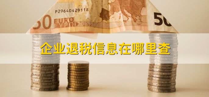 企业退税信息在哪里查