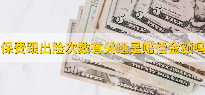 保费跟出险次数有关还是赔偿金额吗