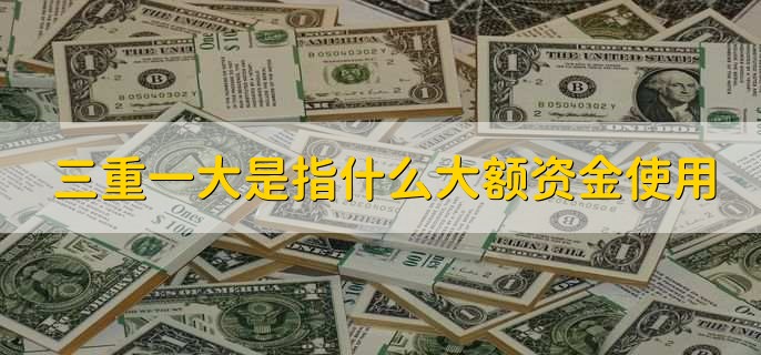 三重一大是指什么大额资金使用